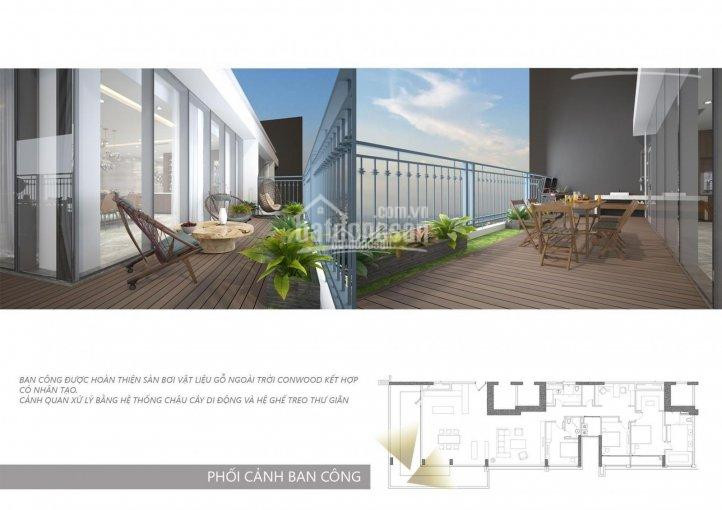 Chính Chủ Cho Thuê Nhanh Căn Penthouse Vinhomes Central Park Giá Tốt, Dt 300m2, View Sông Và Bitexco 0977771919 7