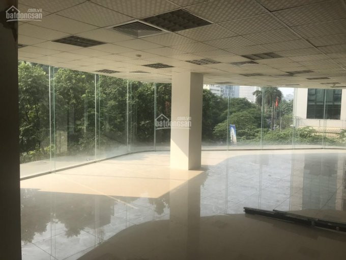 Chính Chủ Cho Thuê Nhanh Văn Phòng Building đẹp, Rẻ Nhất Quận Cầu Giấy Dt Từ 85m2 - 1000m2 6