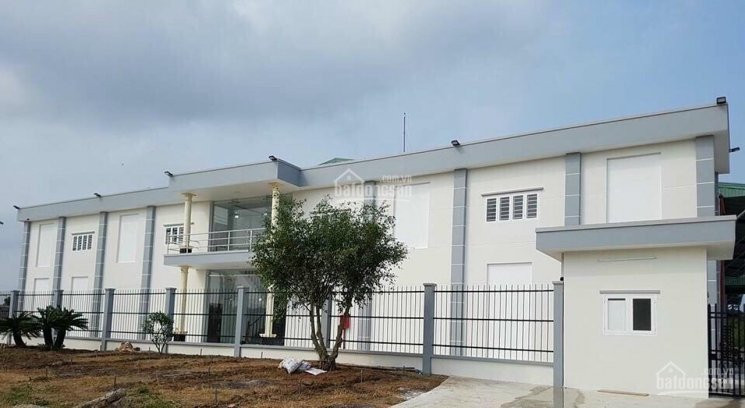 Chính Chủ Cho Thuê Nhanh Xưởng 3300m2 Trong Khu Công Nghiệp Tân Kim Cần Giuộc Long An 1