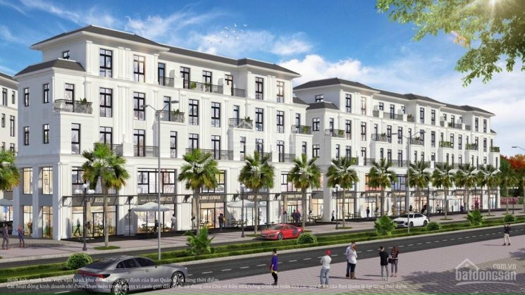 Chủ đầu Tư Mở Bán Shophouse Giá Không Chênh, Chỉ Từ 8 Tỷ, Vay Ls 0%, Ck 6% Vinhomes Ocean Park 5