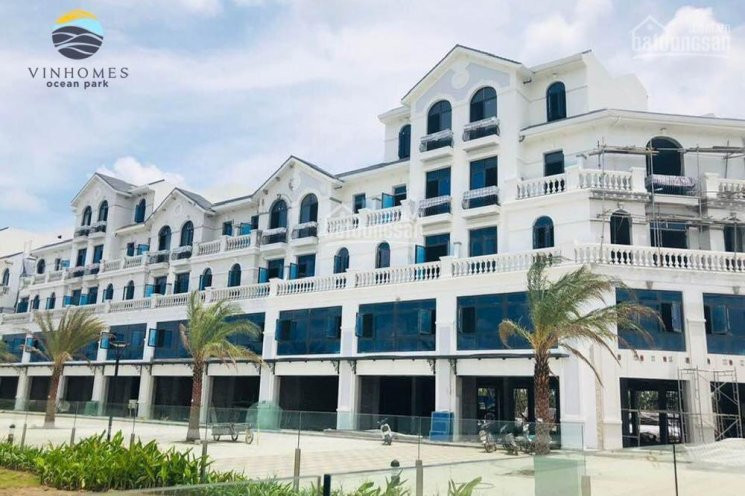 Chuyên Chuyển Nhượng Căn Hộ - Biệt Thự Vinhomes Ocean Park, Giá Thời đầu Cách Hồ Biển 100m 1