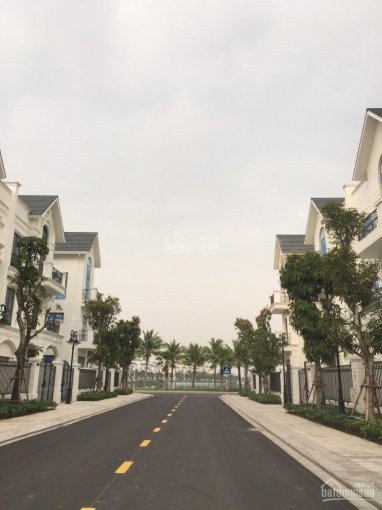 Còn Duy Nhất Căn Song Lập San Hô Gần Hồ Dt 150m2 Giá 1x Tỷ, Vinhomes Ocean Park, Lh: 0985731508 2