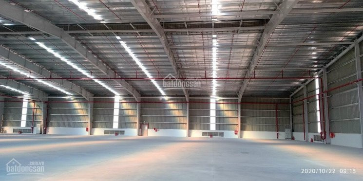 Công Ty Tnhh Kiều Vũ Cho Thuê Kho Kcn Phú Thị Pccc Tiêu Chuẩn Bàn Giao Kho Ngay, Cắt Nhỏ Từ 300m2 1