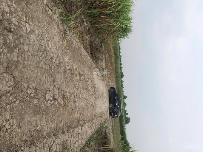 đất Cây Lâu Năm ( Cln ) Phước Khánh Mặt Rạch đường ô Tô Betong Khu Dân Cư Giá 1 Tỷ 350 /1000m2 3