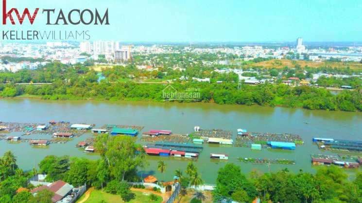 đất Hiệp Hòa, Cù Lao, Thiên đường Của Yên Bình 5