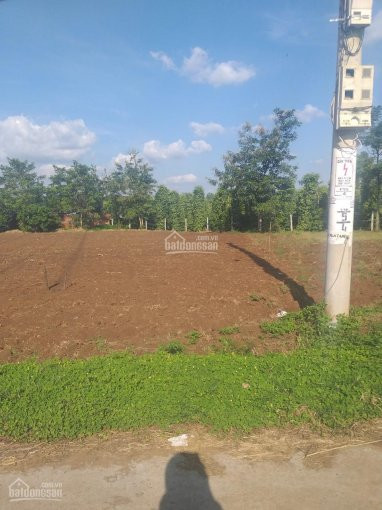 đất Thổ Cư Eakao 500m2 Giá 575 Triệu Gần Ubnd Xã Eakao 6