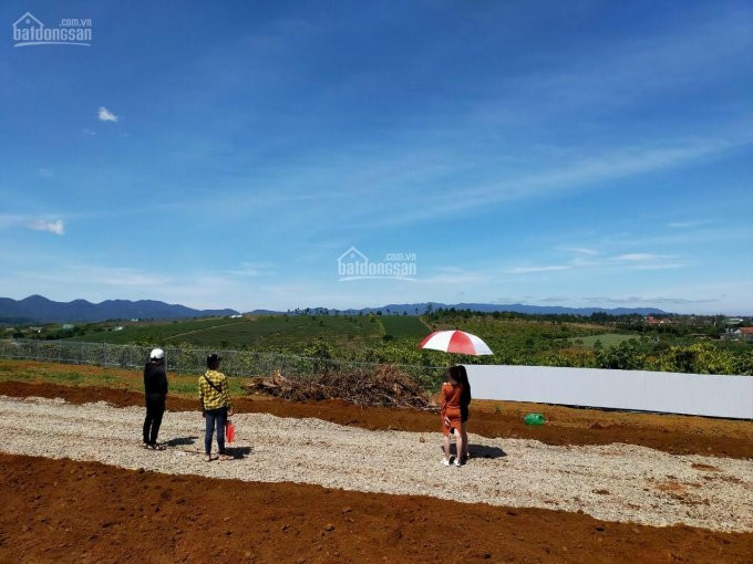 đón đầu Cao Tốc, View đắc địa, Tuyệt Phẩm Nghỉ Dưỡng 1