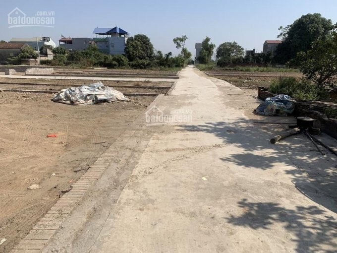 Em Có Lô đất 7348m2, 2 Mặt Tiền Tại Tổ 10 Quang Minh, Mê Linh, Hà Nội 2