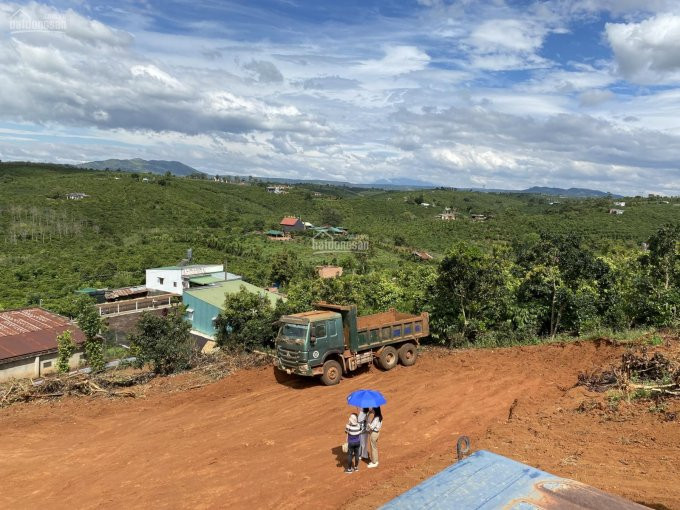 Gia đình Cần Tiền Làm ăn Thanh Lý Vài Lô Biệt Thự View đồi Tp Bảo Lộc Tuyệt đẹp, Giá Rẻ Hơn Khu Vực 1