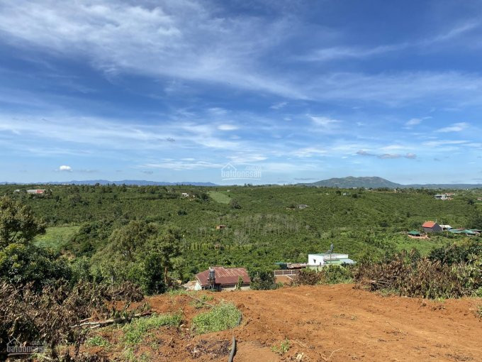 Gia đình Cần Tiền Làm ăn Thanh Lý Vài Lô Biệt Thự View đồi Tp Bảo Lộc Tuyệt đẹp, Giá Rẻ Hơn Khu Vực 3