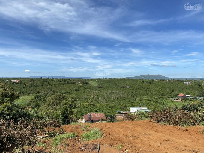 Gia đình Cần Tiền Làm ăn Thanh Lý Vài Lô Biệt Thự View đồi Tp Bảo Lộc Tuyệt đẹp, Giá Rẻ Hơn Khu Vực 5