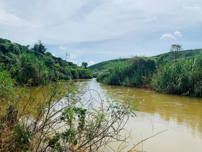 Gia đình Cần Tiền Trả Nợ Bán Gấp Mảnh Vườn View Suối, Xe Hơi Vào Tận Nơi, Gần Chợ Và Trường Học 1