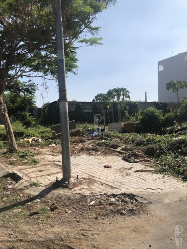 Kẹt Tiền Bán Gấp Nền Sổ đỏ 2 Mặt Tiền Trục 16m Khu Dân Cư Hoàng Quốc Việt Quận 7 5