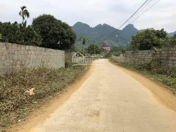 Khai Xuân đầu Năm Lô đất 2500m - Full Thổ Cư 1