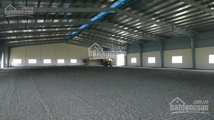 Kho Xưởng Cho Thuê Bình Mỹ Củ Chi 600m2-1000m2 -1600m2-2000m2-4500m2-6000m2-10000m2 1