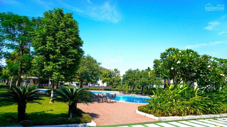 Liền Kề Hà đô Charm Villas Ck 8%, Miễn 3 Năm Phí Dv, Tiềm Năng Tăng Giá Cao Khi đường Liên Khu 8 Mở 3