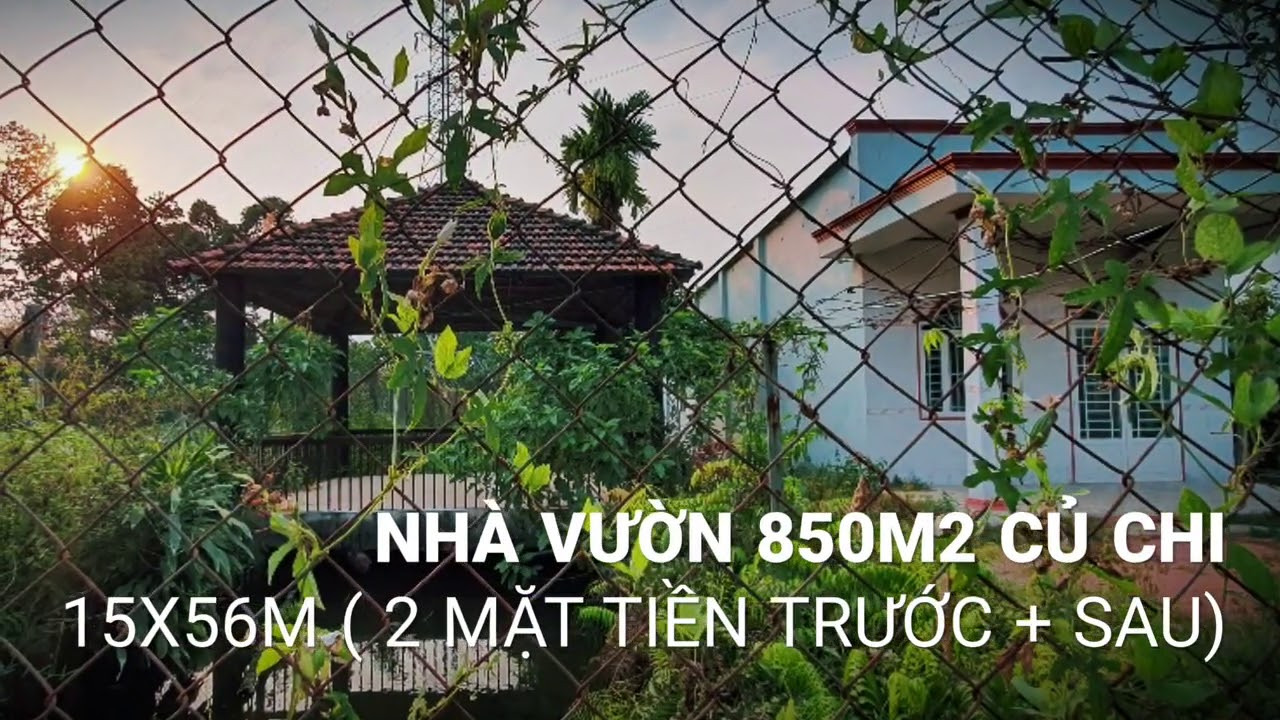 Nhà Vườn Bao đẹp Bao Rẻ Gần 1000m2 15x56m Gần Trung Tâm H Củ Chi 1