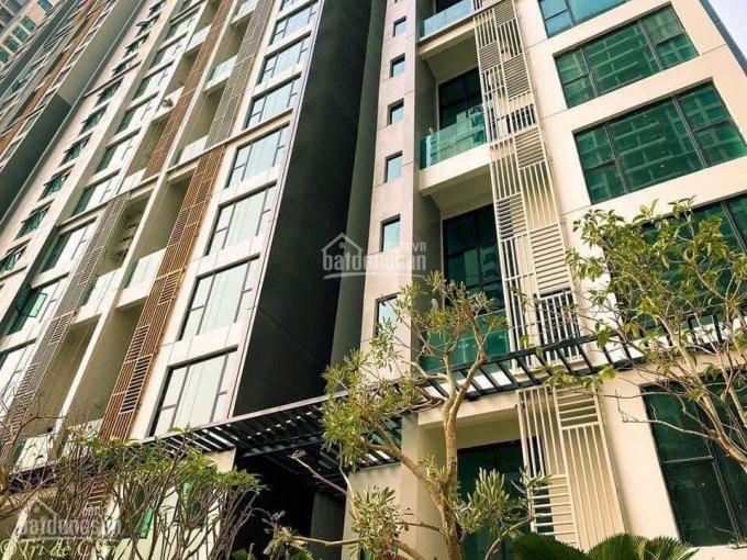 Pkd Capitaland Chuyên Săn Bán Căn Hộ 1 - 2 - 3 - 4pn Duplex Penthouse Sky Villa Giá Chính Xác 200% 9