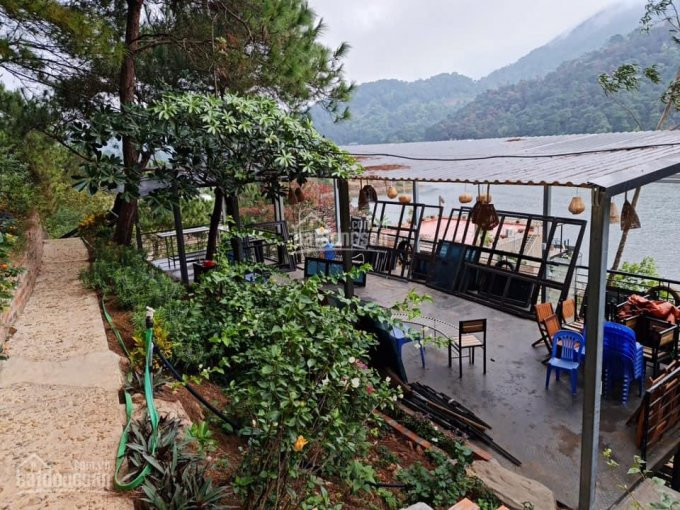 Resort Nghỉ Dưỡng Hồ đồng đò Sóc Sơn Bán 7300m2 đất ở Và Vườn + 20000m2 đất Rừng + 7 Căn Homestay 1