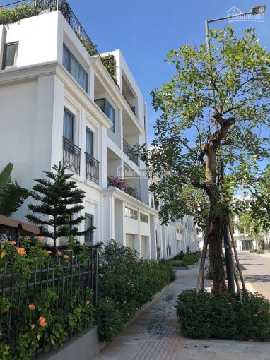 Shophouse The Manor Chiết Khấu 12%, Hỗ Trợ 36 Tháng Không Lãi, Vị Trí đẹp, Giá Bán Tốt Nhất 9