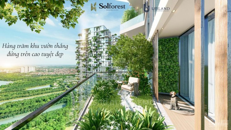 Sở Hữu Căn 2 Phòng Ngủ Sol Forest - Tầng Trung - Giá 2 Tỷ 5 - đông Nam View Biệt Thự đảo 5