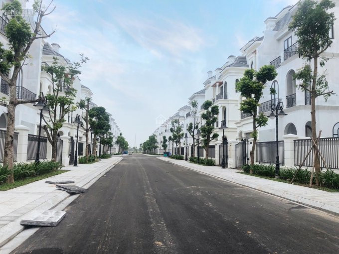 Song Lập San Hô Vinhomes Ocean Park Một Bước đến Hồgiá 102 Tỷ Bao Phí 5