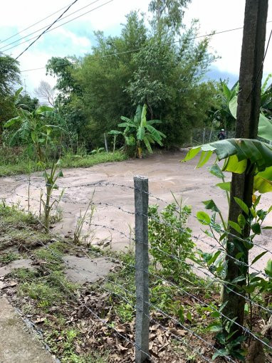Tết Tới, Cần Ra Nhanh Nên Giảm Giá Bán - đất ở Mỹ Thọ, Thổ 370m2 - 320 Triệu - (0768111989) 2