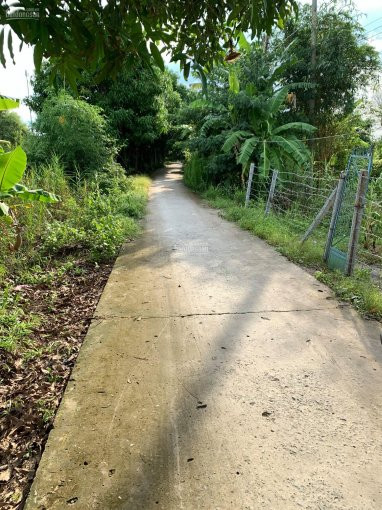 Tết Tới, Cần Ra Nhanh Nên Giảm Giá Bán - đất ở Mỹ Thọ, Thổ 370m2 - 320 Triệu - (0768111989) 5