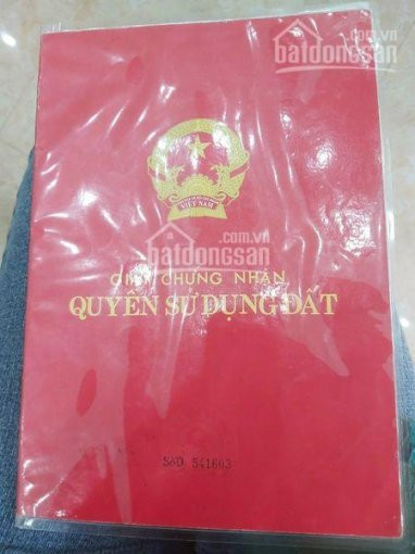 Tiến Xuân, Nằm Giữa Quần Thể Nghỉ Dưỡng Cách đường Tỉnh Lộ 446 Chỉ 200m Với 1150m2 Lh 0964696068 1