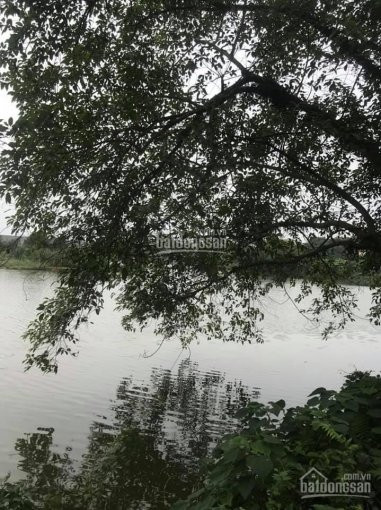 View Hồ Ngắm Hết Mắt Trong Xanh Mát Rượi Chính Chủ Cần Bán S 5100m2 Dc 150m2 Bám Hồ Giá Rẻ Lh 4