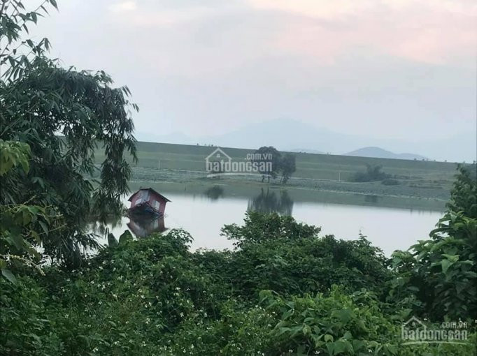 View Hồ Ngắm Hết Mắt Trong Xanh Mát Rượi Chính Chủ Cần Bán S 5100m2 Dc 150m2 Bám Hồ Giá Rẻ Lh 7