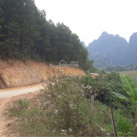 17ha Rừng Tại Kim Bôi, Chỉ 400tr/ha Lh: 0967958045