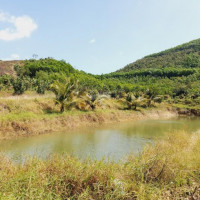 75ha đất Tchnk đã Trồng Cây ăn Trái Hết đất, View Triền đồi Cực đẹp Giá Chỉ 3 Tỉ, Lh 0342927378