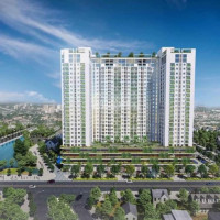 Chỉ Từ 1tỷ Sở Hữu Ngay Căn Hộ Xanh Ecolife Riverside Quy Nhơn - Dự án Tâm Huyết Của Capital House