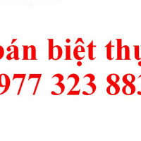 Chính Chủ Bán Nhanh Biệt Thự Mỹ đình 1 Liên Hệ: 0977323883