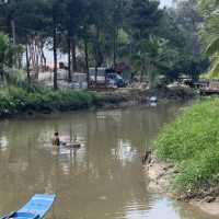 Chính Chủ Bán Nhanh đất (ốc đảo) đường Nhựa, 9000m2 (cây Lâu Năm) Phường Tân định, Bến Cát, Bình Dương