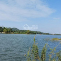Chính Chủ Bán Nhanh Gấp 1000m2 đất Bám Hồ Văn Sơn Gần Sân Golf, Liên Hệ 0965511386