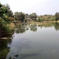 Chính Chủ Bán Nhanh Nhà Vườn 15 Ha ( 15530 M2 ) Xã Sông Trầu , Trảng Bom , đồng Nai