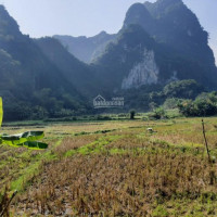 Chính Chủ Bán Nhanh Nhanh Lô đất 2000m2 Có Tới 1000m đất ở View Cánh đồng Tuyệt đẹp Tại Xã Bình Sơn, Kim Bôi