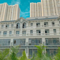 Chính Chủ Bán Nhanh Shophouse Thương Mại Dịch Vụ (tmdv) Vinhomes Smart City - Hàng Ngoại Giao Có Sẵn Hợp đồng Thuê