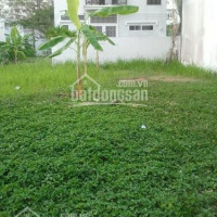 Chính Chủ Cần Bán Lô đất Nam Thông 1, Phú Mỹ Hưng, Q7 Diện Tích: 11x18m Lh: 0919 582 486