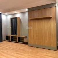 Chính Chủ Cho Thuê Nhanh Căn Hộ Chung Cư D'capitale: 119 Trần Duy Hưng, 38m2, Studio, đủ Nội Thất Giá 9tr/tháng