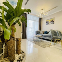 Chính Chủ Cho Thuê Nhanh Vinhomes Central Park Giá Rẻ Nhất 1 2 3 4pn Penthouse Lm81 Shophouse: 0901511155