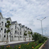 Chủ Nhà Cần Tiền Bán Gấp Cắt Lỗ Nhà Phố Shophouse Hải âu 02-09 Vinhomes Ocean Park 11 Tỷ 0966768388