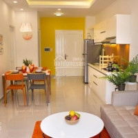 Chuyên Chuyển Nhượng Ch 9 View Apartment Giá Tốt Full Nt đẹp Cam Kết Giá Tt Thật, Lh: 0931409970