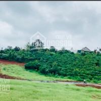 Gia đình Kẹt Tiền Bán Gấp Lô đất Ngay Trung Tâm, View Bao đẹp, Có Sổ Và Lên Full Thổ Cư, Giá Rẻ