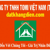 Tổng Hợp Nhà Trong Các Dự án đang Cho Thuê 14tr/tháng đến 40tr/tháng Cập Nhật 15/2