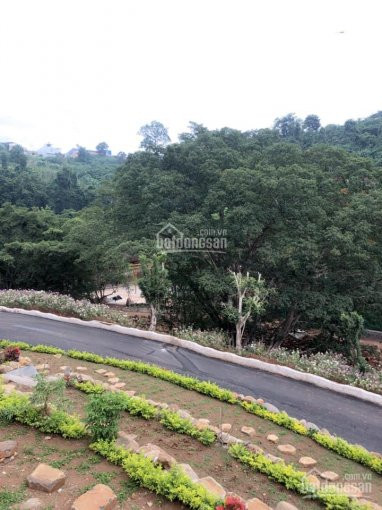 11000m2 đất 2 Mặt Tiền đường Bê Tông 8m, Cách Quốc Lộ 20 100m, Thị Trấn Di Linh, Lâm đồng 4