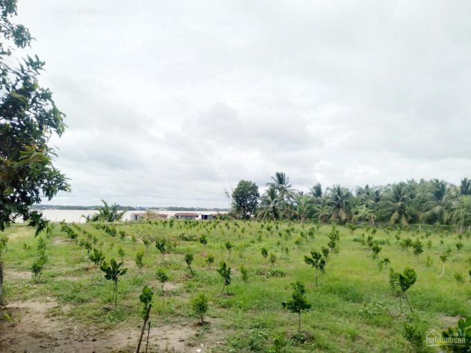 6500m2 đất View Sông, Phường Tân Long, Mỹ Tho 2