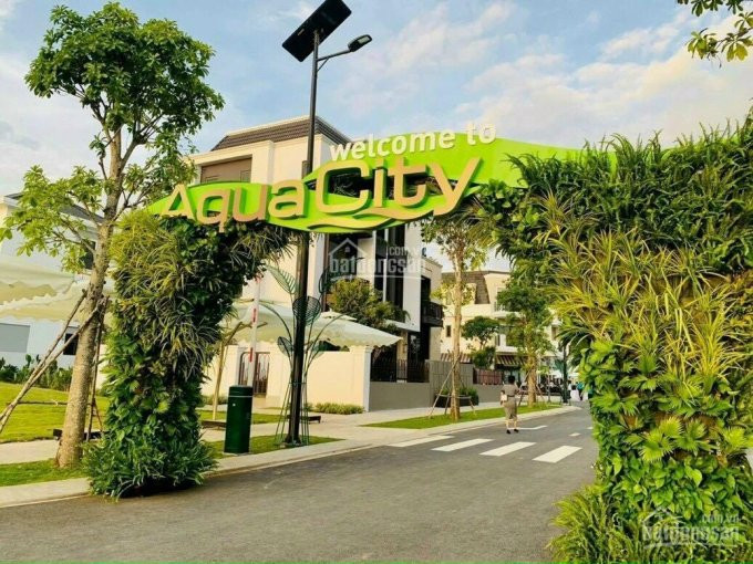 Aqua City đảo Phượng Hoàng - Phân Khu đẹp Nhất đảo Tt Chỉ 10% đợt đầu Dài Hạn,lì Xì Tài Lộc đầu Năm 7